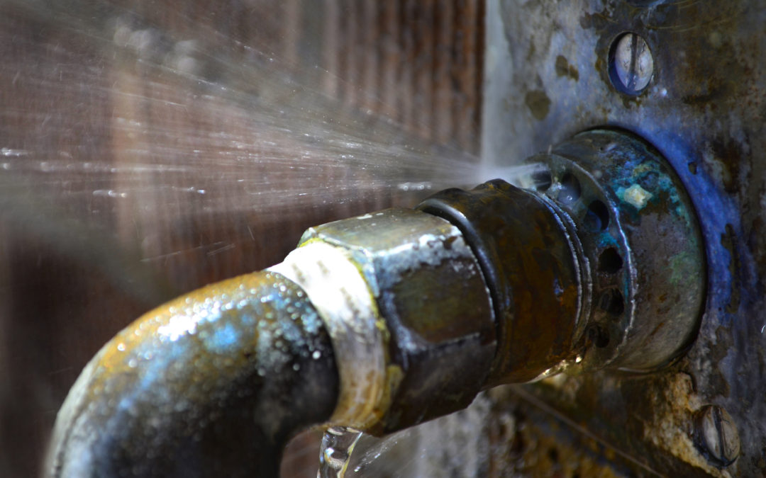 Top 10 Tips to Prevent Plumbing Issues This Year