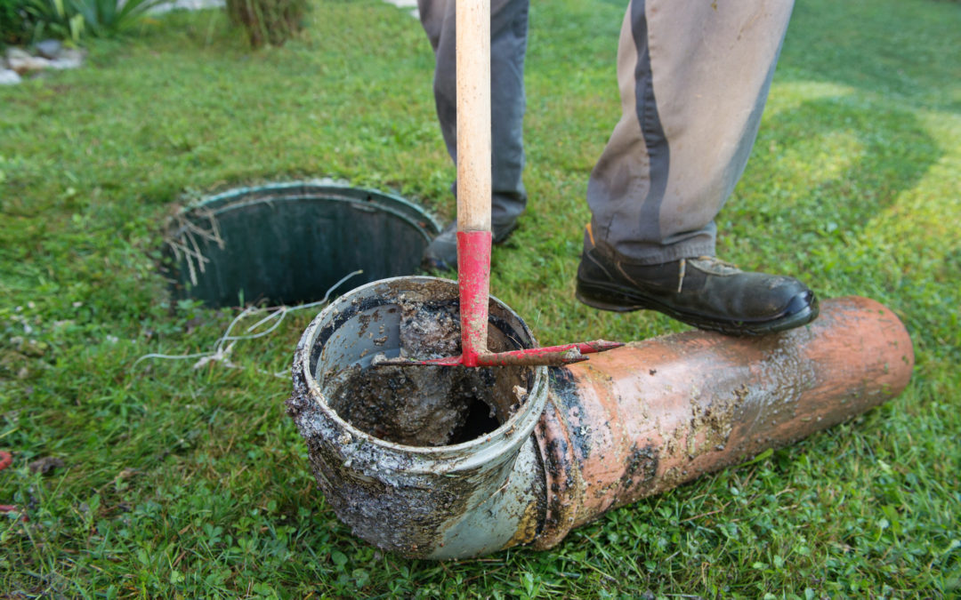 Marco Plumbing Explains the Top Causes of Sewer Line Damage