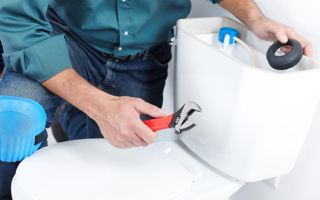 Old Toilets: Should You Replace Them?