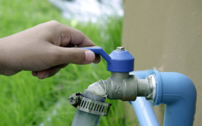 Extending Your Home’s Aesthetic to the Garden with Water Features