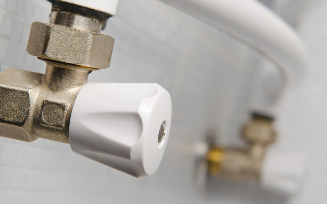 New trends in sustainable plumbing