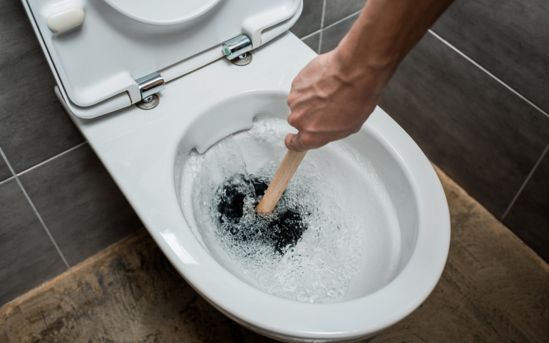 Should You Repair or Replace Your Toilet? Here’s How to Know