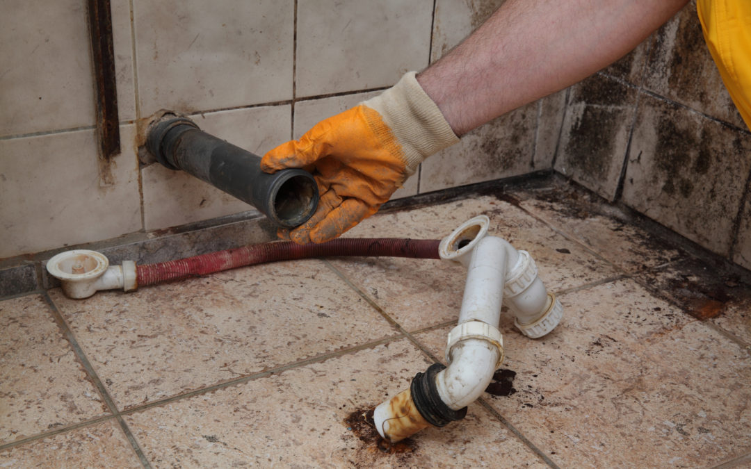 5 Signs That Indicate Your Plumbing System Needs Repairs