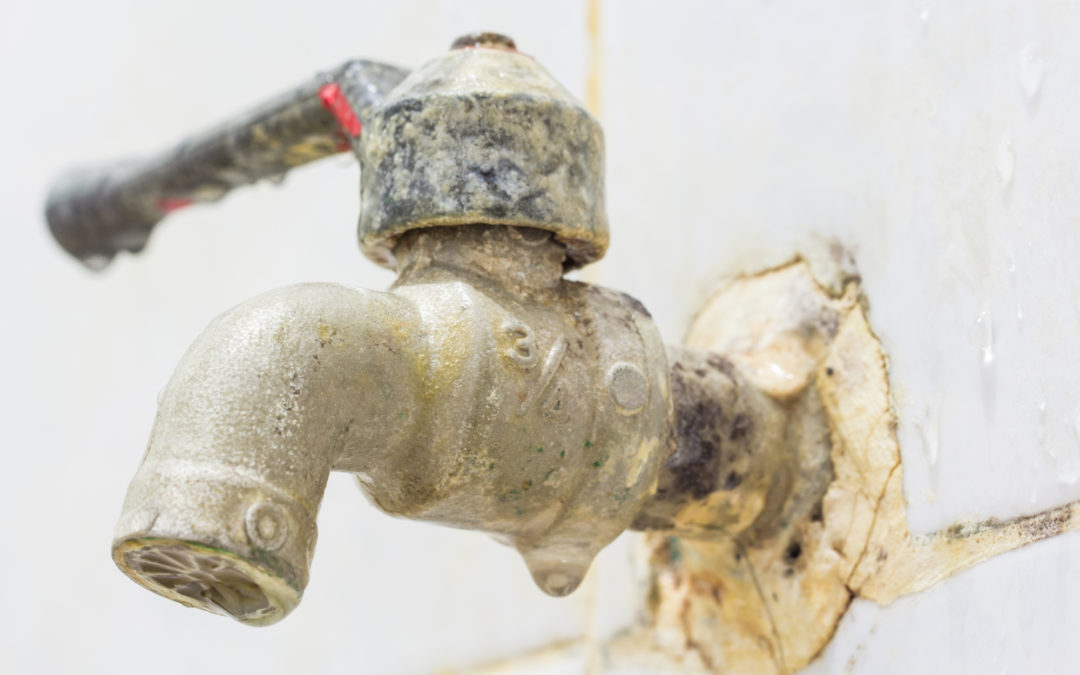 The Importance of Regular Plumbing Maintenance