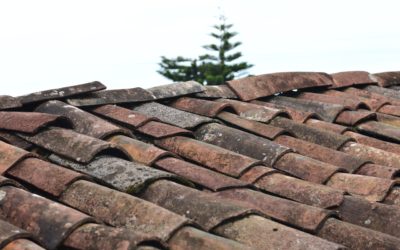 The Real Cost Of Ignoring Roof Leaks: What You Should Know