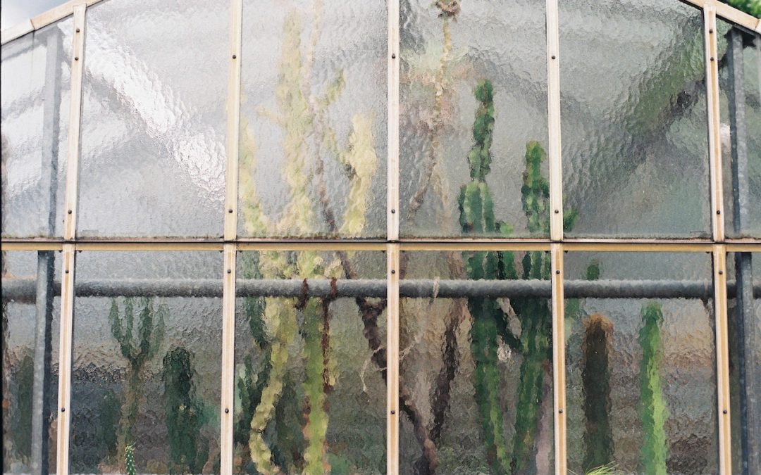 6 Benefits Of Commercial Glass Pane And Window Frosting