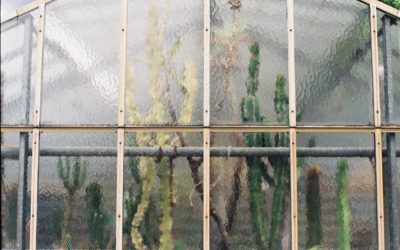 6 Benefits Of Commercial Glass Pane And Window Frosting