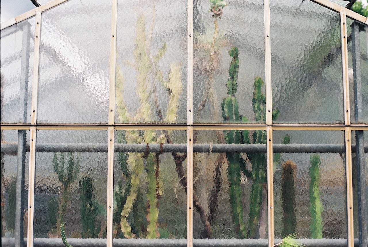 Window Frosting