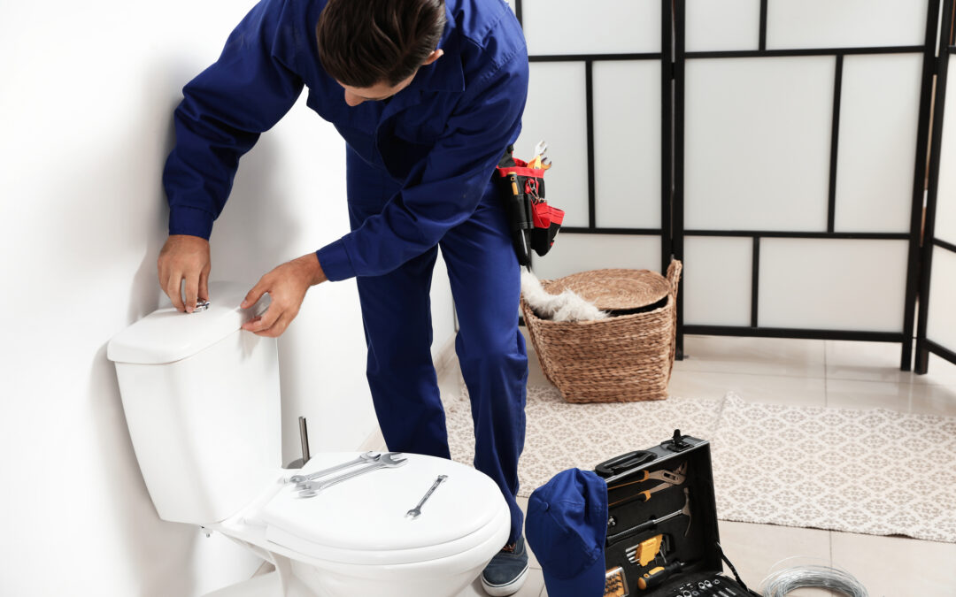 The Comprehensive Guide to Toilet Replacement: Know Before You Call