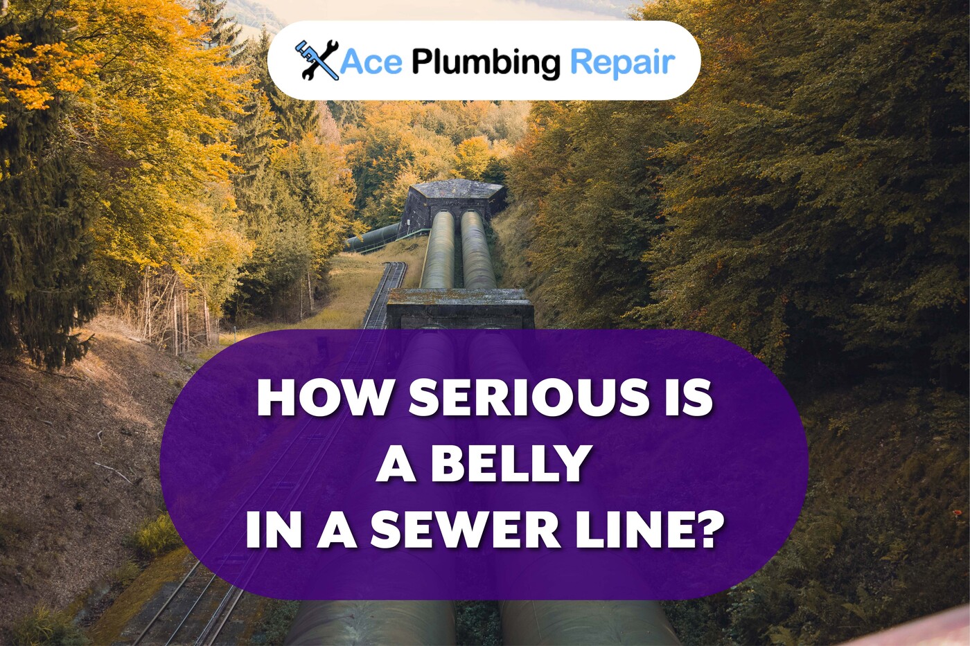 how serious is belly in sewer line?